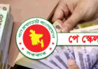 ধাপে ধাপে নবম পে-স্কেল বাস্তবায়নের সুপারিশ, বাজেটে বিশেষ বরাদ্দের চিন্তা