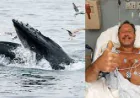 Whale Encounter: তিমির মুখে ৩০ সেকেন্ড, অবিশ্বাস্যভাবে বেঁচে ফিরলেন ডুবুরি মাইকেল প্যাকার্ড