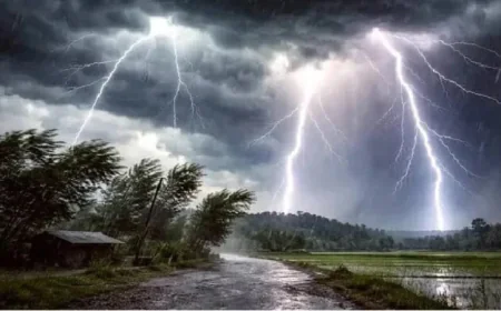 বজ্রপাত থেকে বাঁচতে যা করবেন: ঘরে, মাঠে ও পথে জরুরি সতর্কতা
