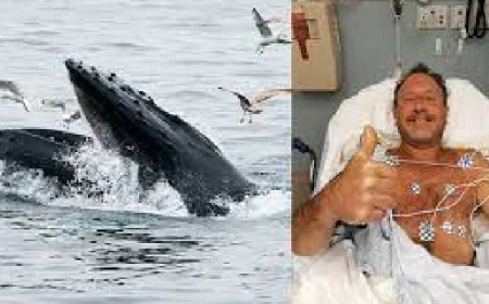 Whale Encounter: তিমির মুখে ৩০ সেকেন্ড, অবিশ্বাস্যভাবে বেঁচে ফিরলেন ডুবুরি মাইকেল প্যাকার্ড