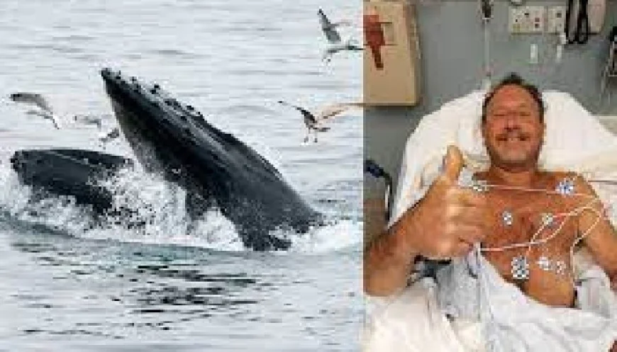 Whale Encounter: তিমির মুখে ৩০ সেকেন্ড, অবিশ্বাস্যভাবে বেঁচে ফিরলেন ডুবুরি মাইকেল প্যাকার্ড