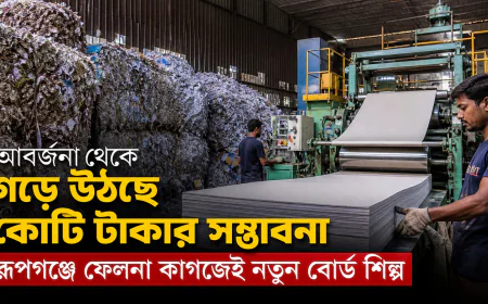 আবর্জনা থেকে গড়ে উঠছে কোটি টাকার সম্ভাবনা, রূপগঞ্জে ফেলনা কাগজেই নতুন বোর্ড শিল্প