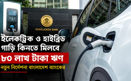 ইলেকট্রিক ও হাইব্রিড গাড়ি কিনতে মিলবে ৮০ লাখ টাকা ঋণ, নতুন নির্দেশনা বাংলাদেশ ব্যাংকের