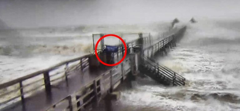 As Hurricane Milton batters Florida, one man braves the storm to raise a Trump 2024 flag on a pier.