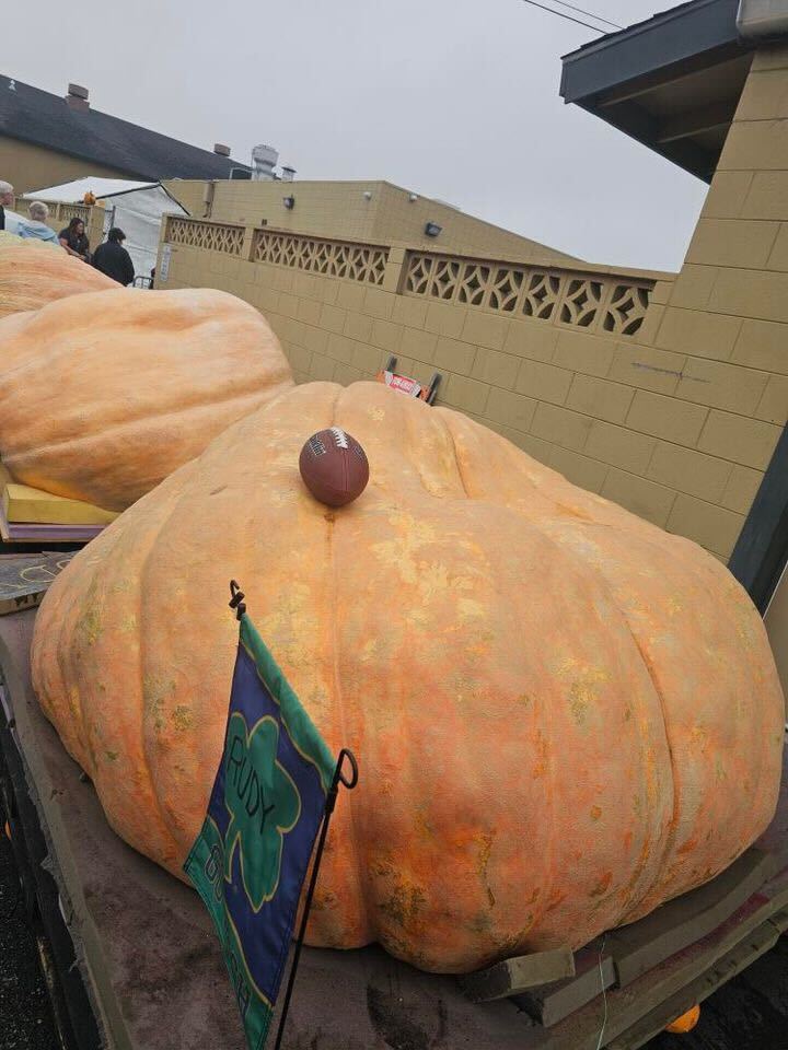 Horticulture teacher wins pumpkin weigh-off with a massive 1,121kg squash, beating the competition just in time for Halloween. Discover how his giant fruit named Rudy stole the show!