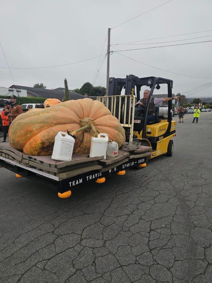 Horticulture teacher wins pumpkin weigh-off with a massive 1,121kg squash, beating the competition just in time for Halloween. Discover how his giant fruit named Rudy stole the show!