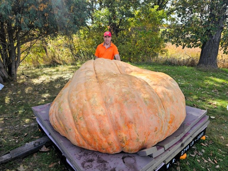 Horticulture teacher wins pumpkin weigh-off with a massive 1,121kg squash, beating the competition just in time for Halloween. Discover how his giant fruit named Rudy stole the show!