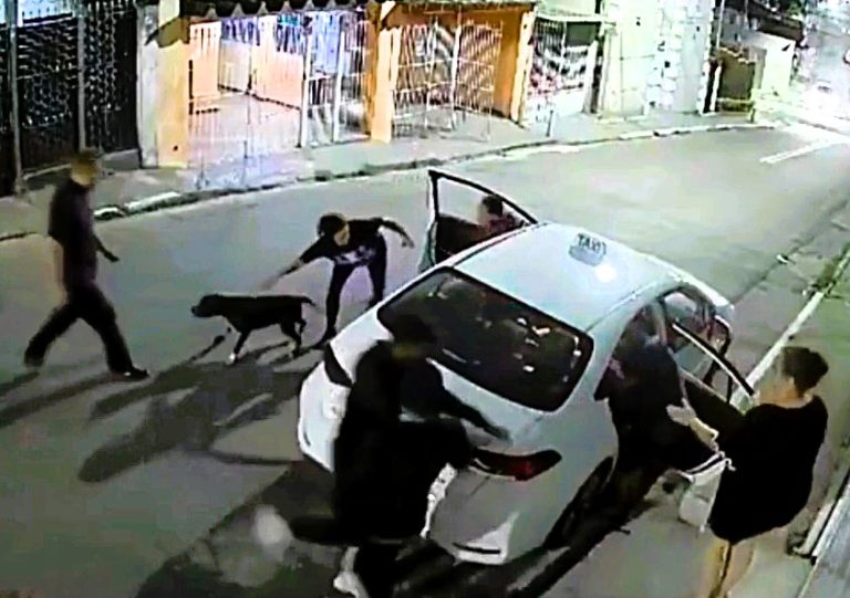 A brave mom and her pit bull thwarted three thieves attacking her family in São Paulo, Brazil, saving her child in a dramatic escape caught on CCTV.