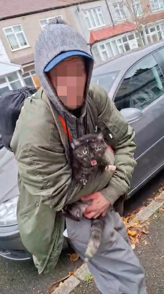 Heartbroken mum seeks help after her beloved 10-year-old cat Shelly is stolen in Tooting. Shocking video shows neighbor confronting suspected thief. Can you help?