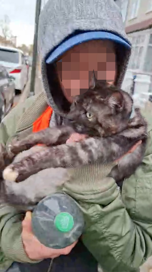 Heartbroken mum seeks help after her beloved 10-year-old cat Shelly is stolen in Tooting. Shocking video shows neighbor confronting suspected thief. Can you help?