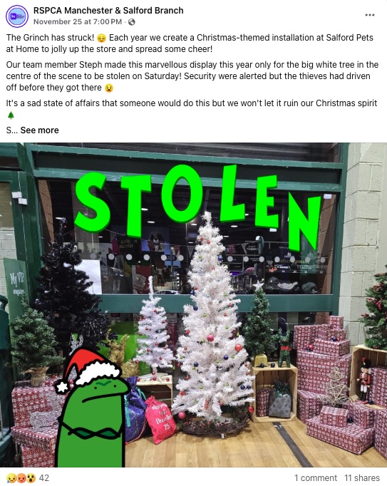 Heartbreak for Salford pet shop as thieves steal their Christmas tree, donated by the RSPCA. Discover how the community is rallying to keep the festive spirit alive!