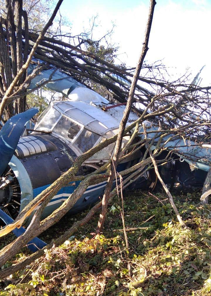 Russian plane with nine aboard crash-lands near busy motorway after engine failure; no fatalities reported. Antonov An-2TP narrowly avoids overpass, injuring four.