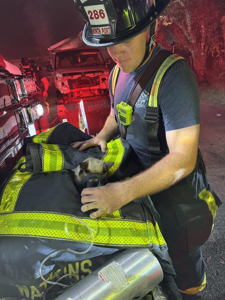 Hero firefighters in Florida saved 4 cats and a dog from a house fire using pet oxygen masks, proving lifesaving tools aren't just for humans. Read the full story!