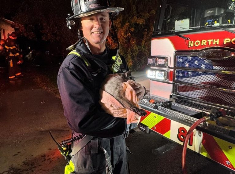 Hero firefighters in Florida saved 4 cats and a dog from a house fire using pet oxygen masks, proving lifesaving tools aren't just for humans. Read the full story!