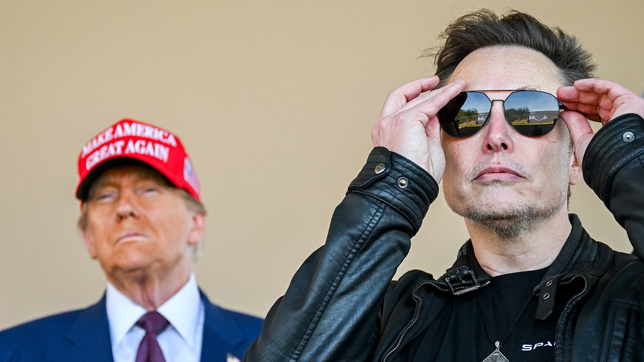 1740464330 elon musk trump