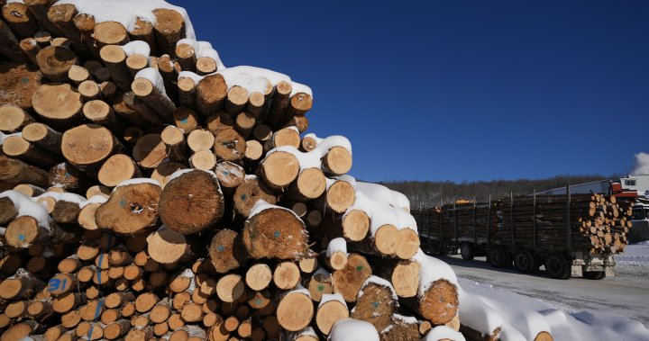 Canadian lumber