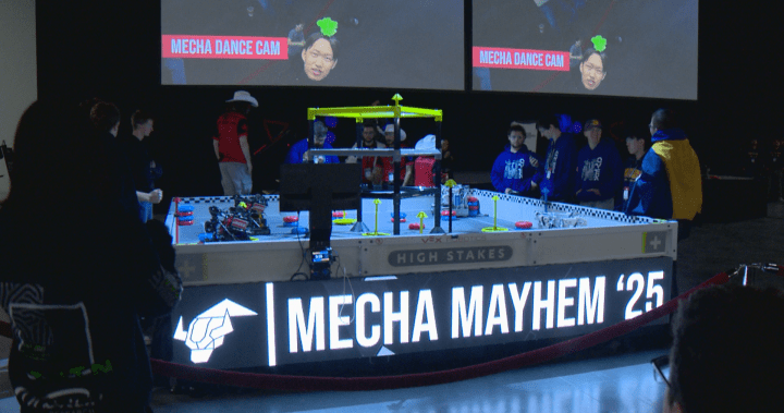 Mecha Mayhem