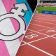 Track trans flag