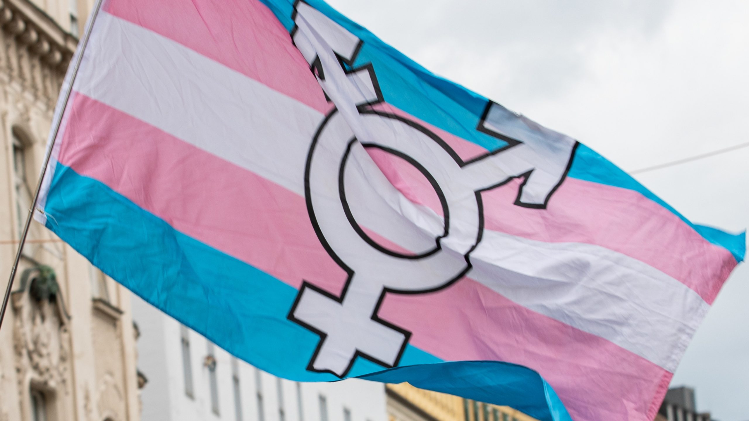 Trans flag thumb scaled