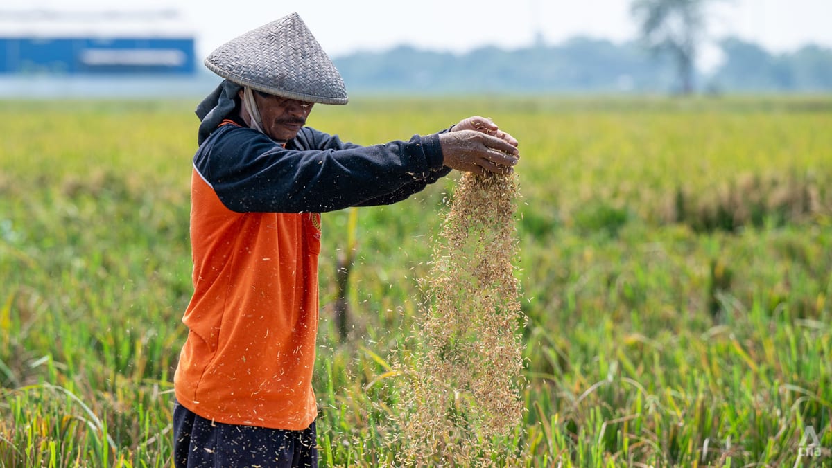 a farmer separating grain