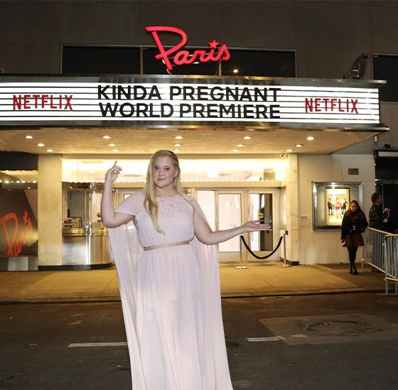 amy schumer kinda pregnant 732x549 thumbnail