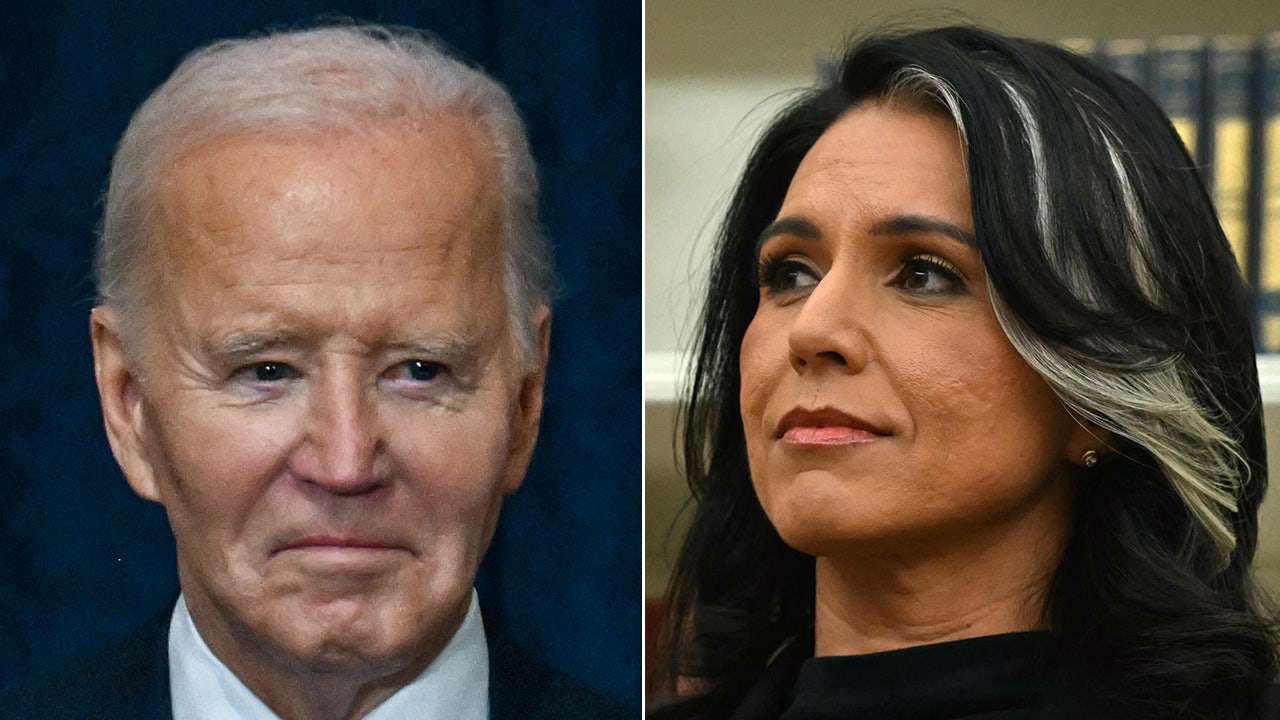 biden tulsi