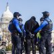 capitol police detain person protest