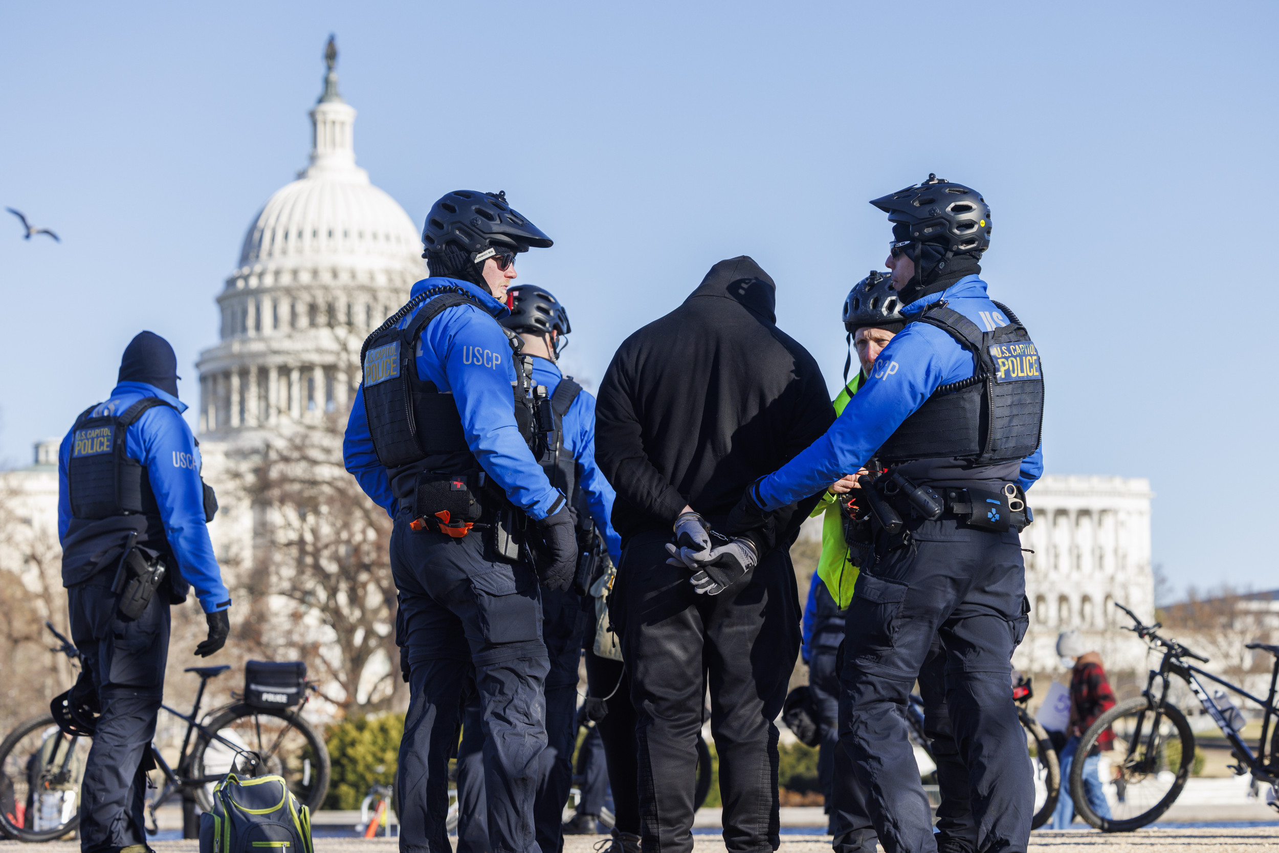 capitol police detain person protest