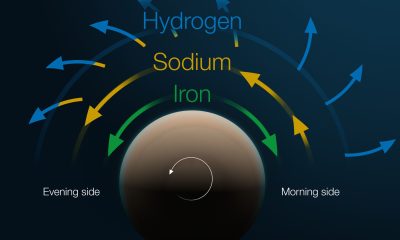 diagram tyloss winds