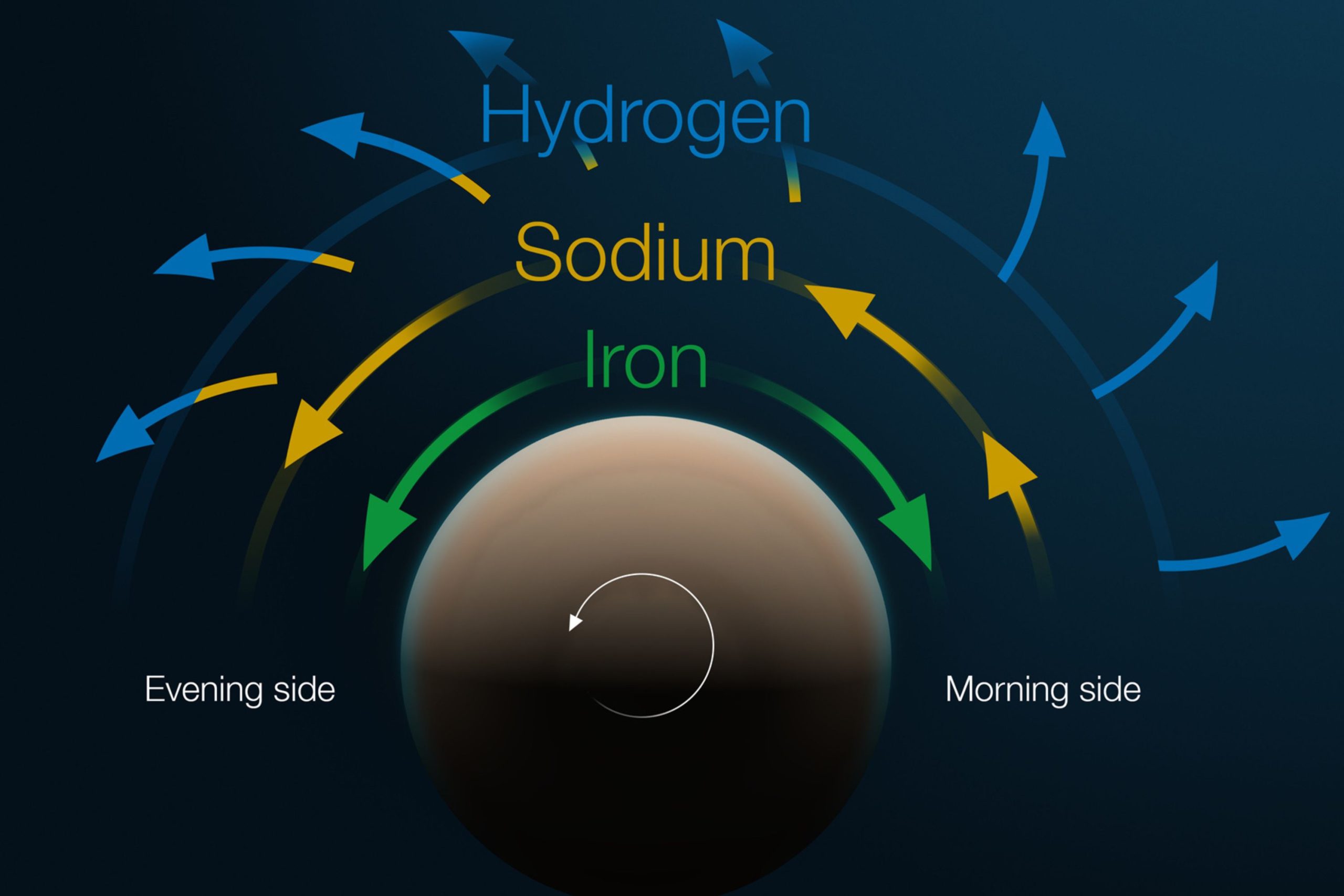 diagram tyloss winds scaled