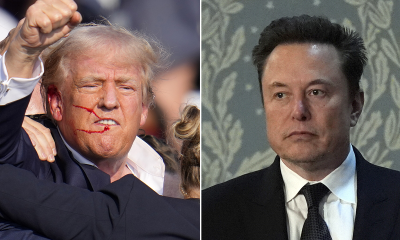 donald trump and elon musk