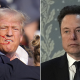 donald trump and elon musk