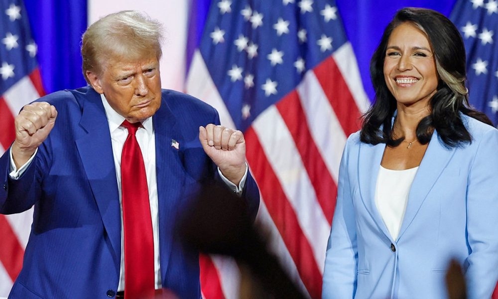 donald trump tulsi gabbard