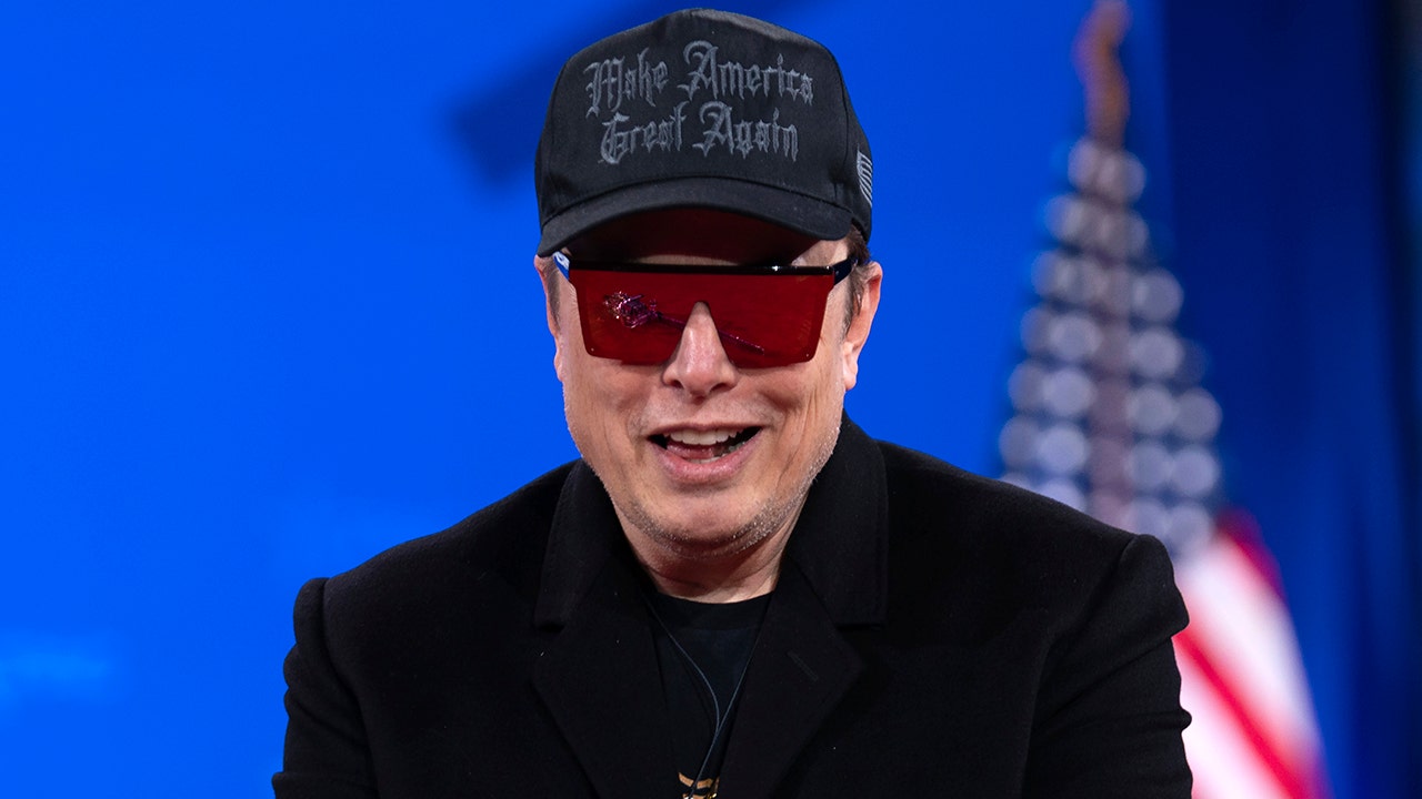 elon musk cpac