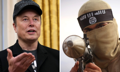 elon musk isis fighter