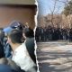 iran student protesters split