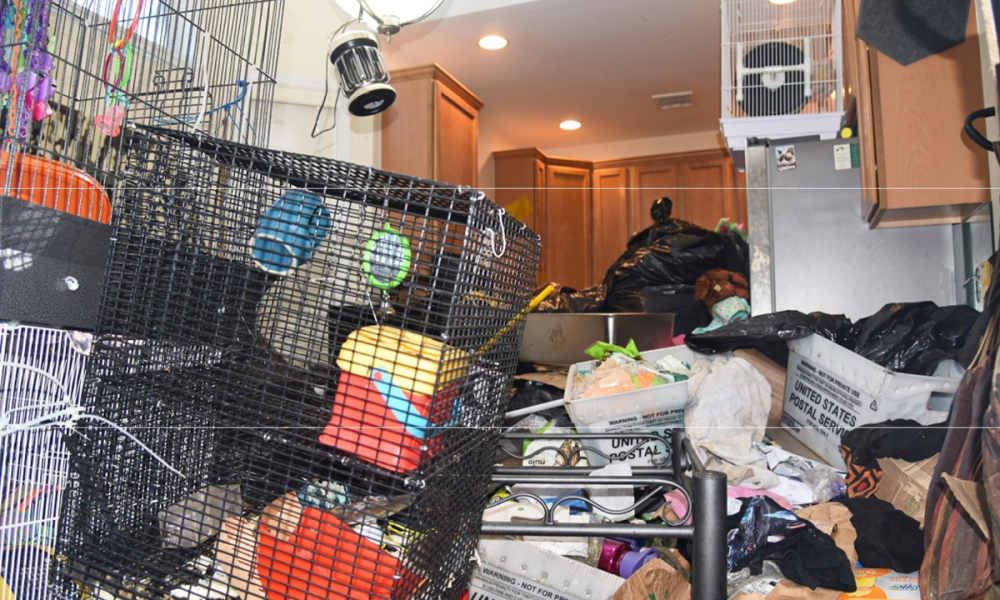 long island extreme hoarder arrested