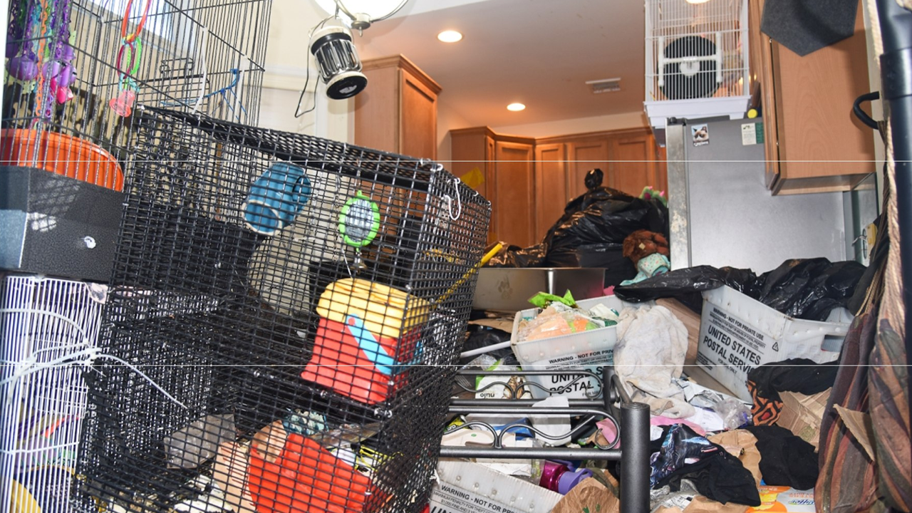 long island extreme hoarder arrested