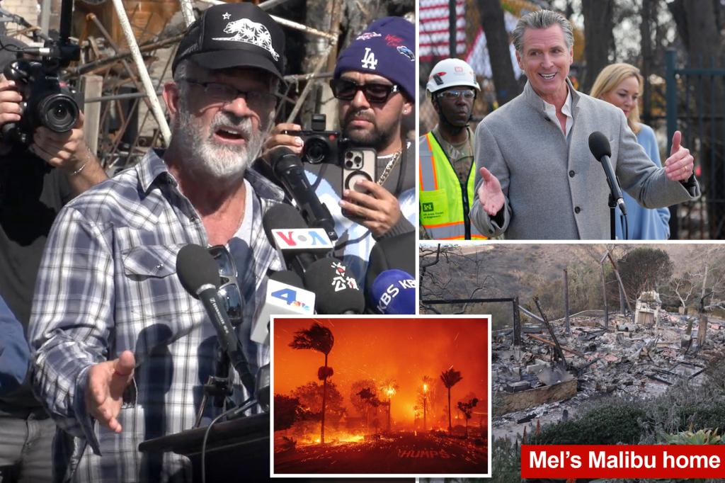 mel gibson backs push recall 99379744