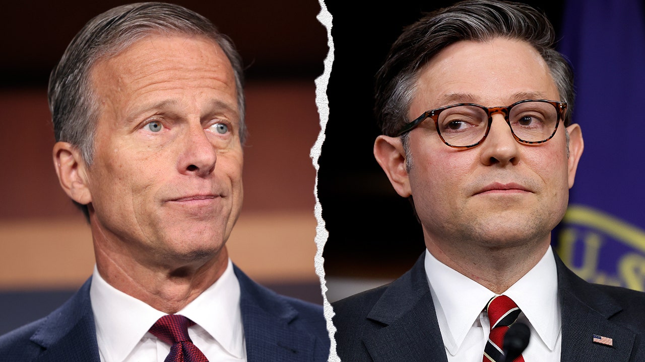 mike johnson and john thune 1