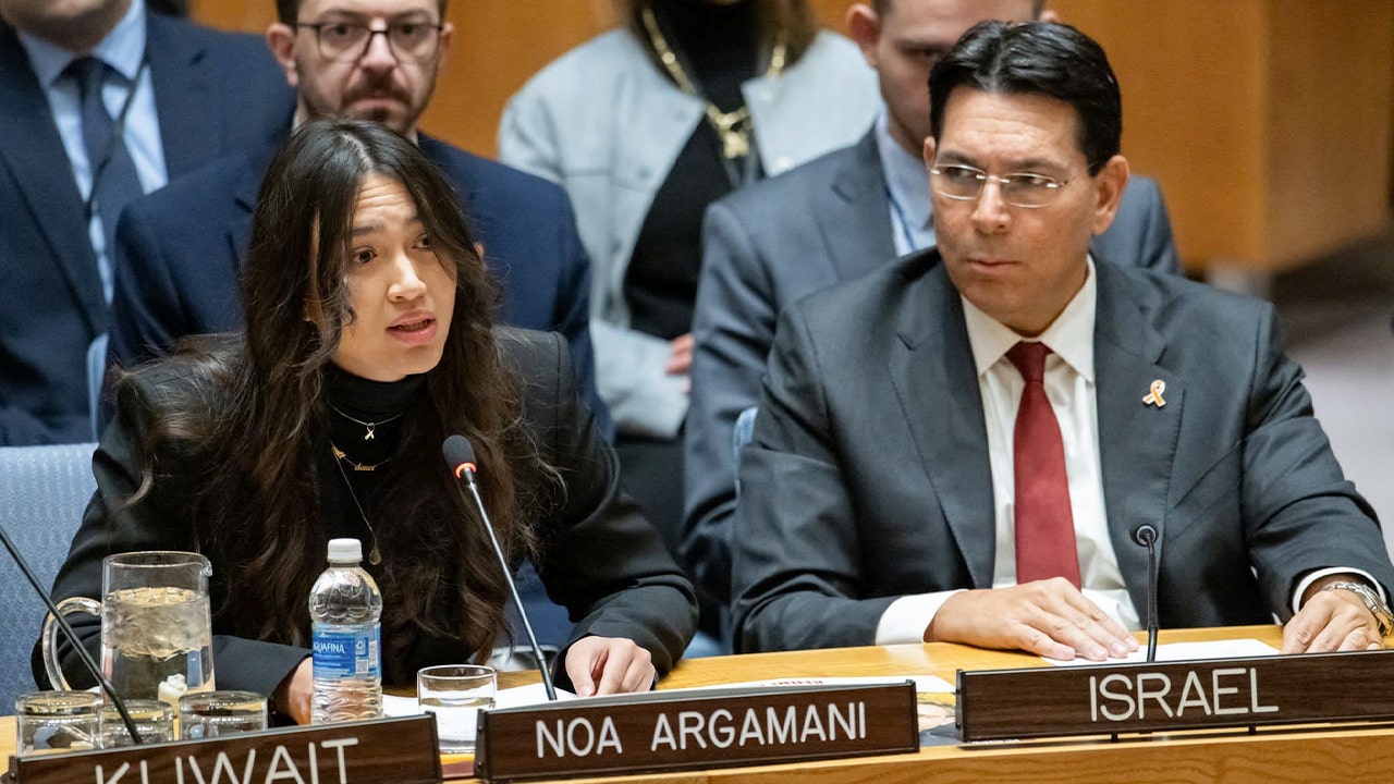 noa argamani security council