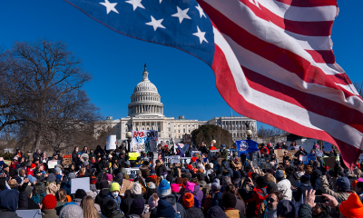 not my presidents day protest flag