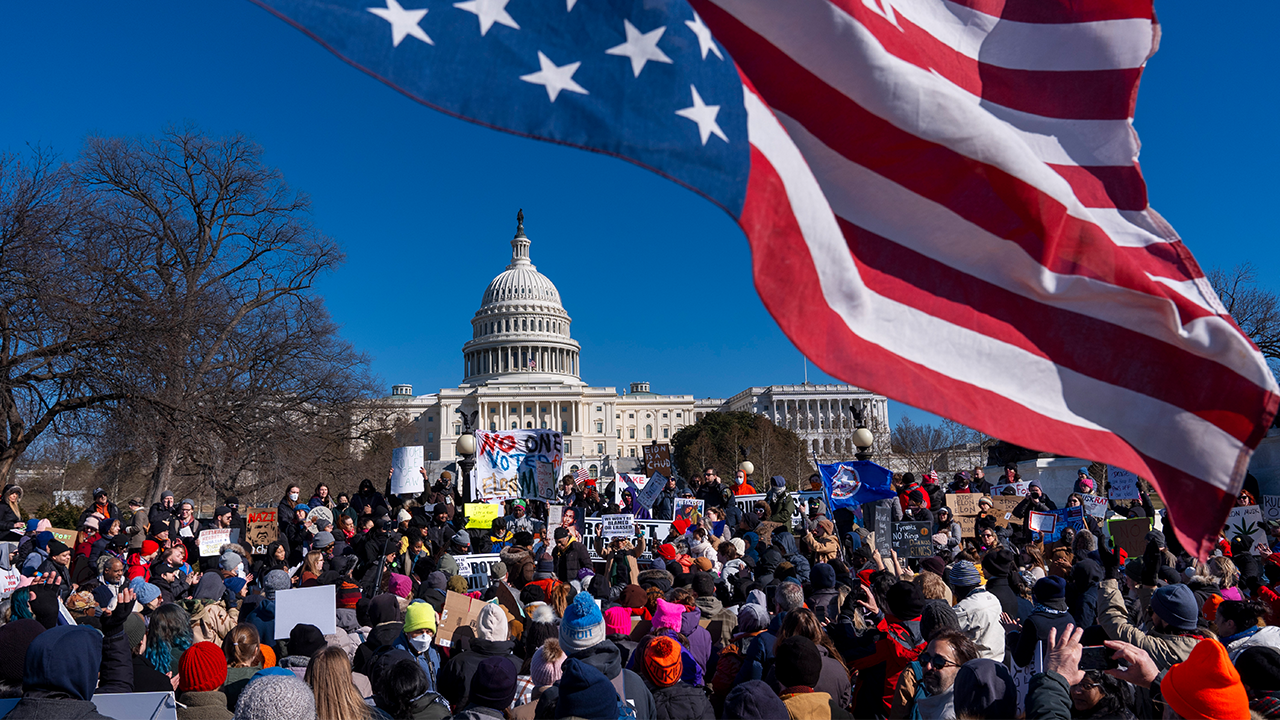 not my presidents day protest flag