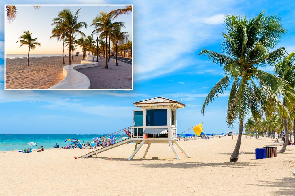 paradise beach fort lauderdale florida 98224721