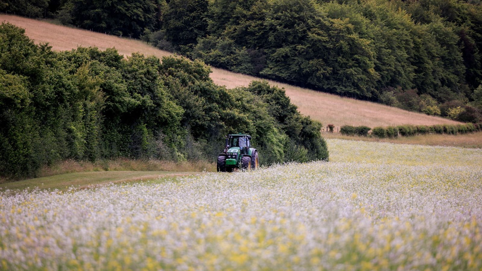 skynews farm inheritance