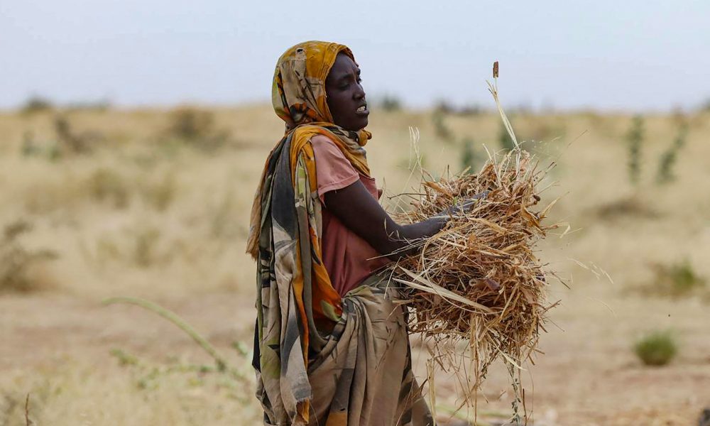 sudan famine