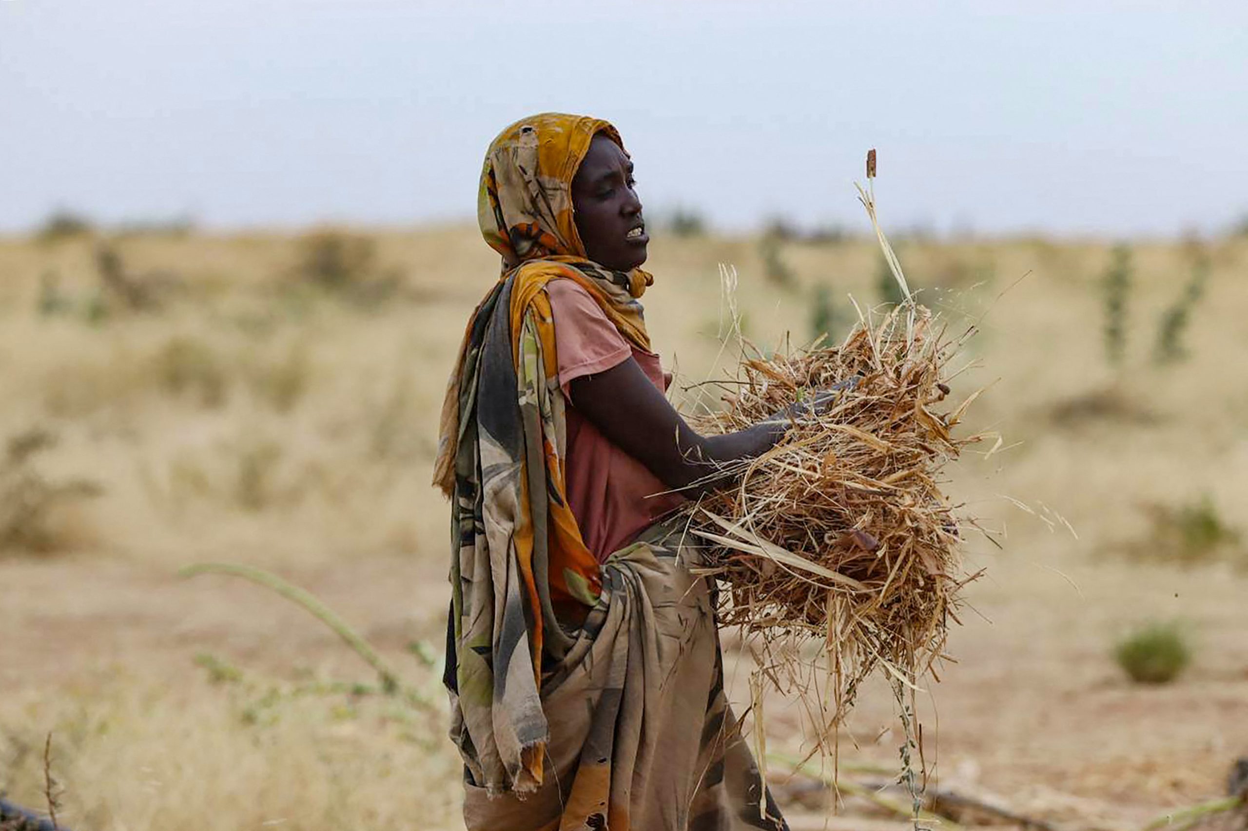 sudan famine scaled