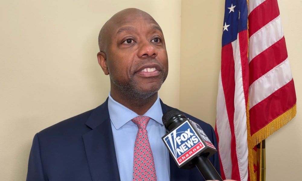 tim scott fox news intv dc nov. 13 2024