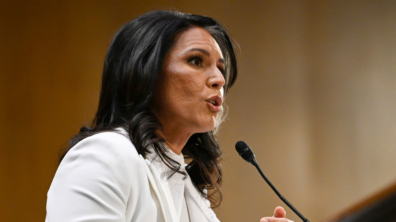 tulsi gabbard 2