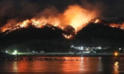 2025 03 04t032726z 130477172 rc236daqvnu5 rtrmadp 3 japan fire